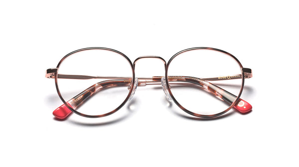 Etnia Barcelona Brille HARRY HVPG