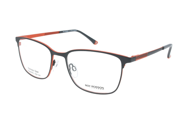 Roy Robson Brille mit polarisiertem Magnet Sonnenclip • 10088-2