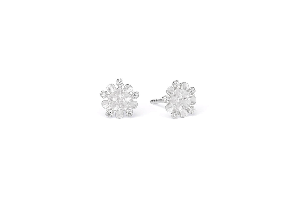 Bernd Wolf Ohrstecker Cerisi • 925 Silber • Zirkonia