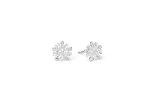 Bernd Wolf Ohrstecker Cerisi • 925 Silber • Zirkonia