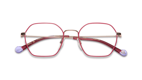 Etnia Barcelona Brille OTIS PGBX