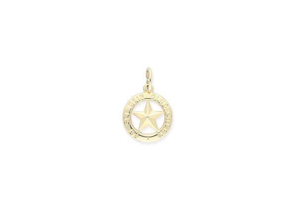 Anhänger Stern • 585 Gold