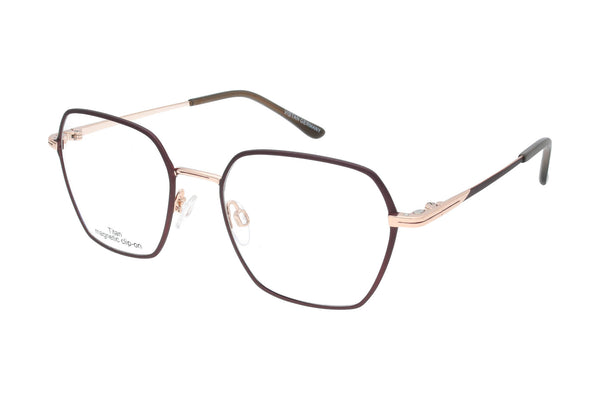 Vistan Brille mit polarisiertem Magnet Sonnenclip • 4598-1