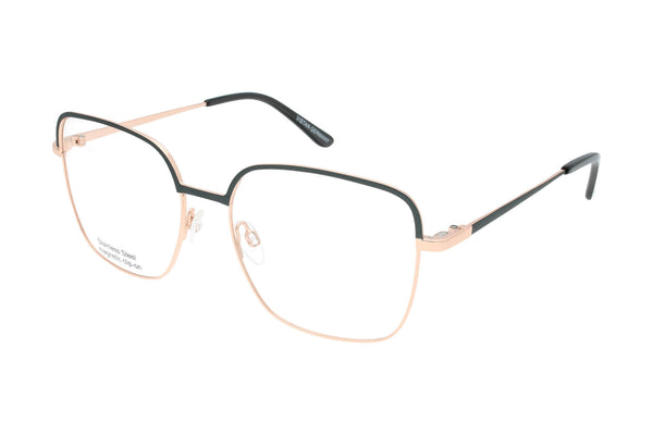 Vistan Brille mit polarisiertem Magnet Sonnenclip • 3112-1