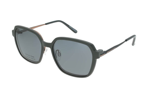 Vistan Brille mit polarisiertem Magnet Sonnenclip • 3170-1