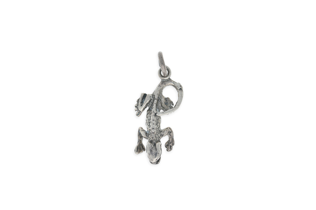 Wikinger Anhänger • Eidechse • 925 Silber