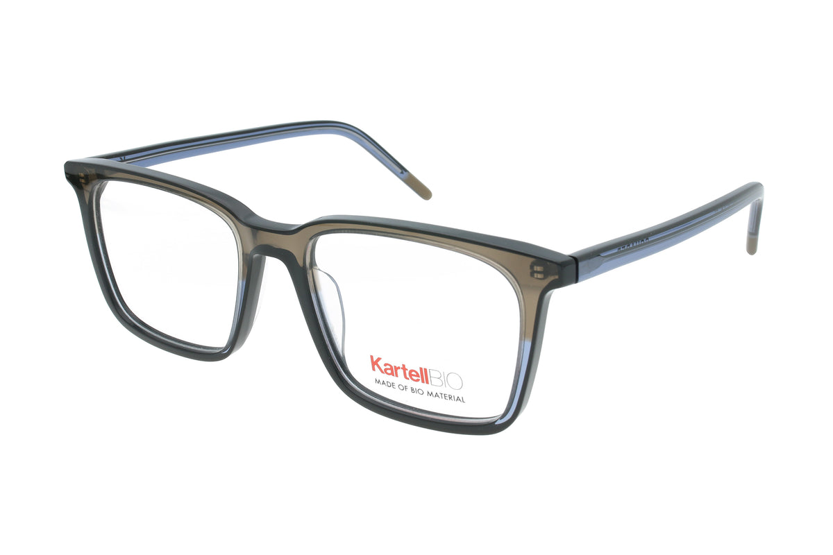Kartell Brille • KL069 V04
