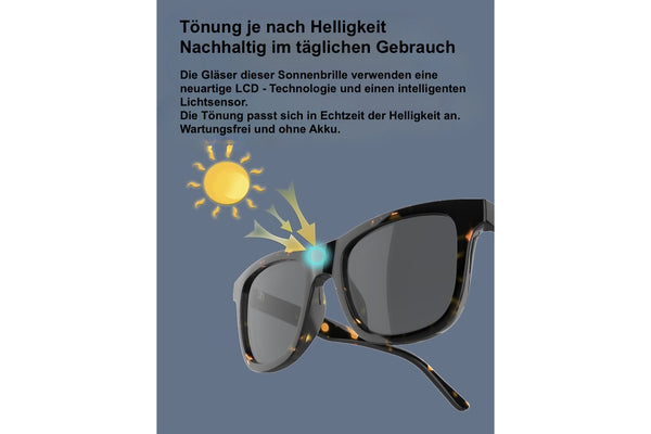 EYEREX eShades Smart-Sonnenbrille VR2002 C1