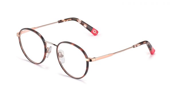 Etnia Barcelona Brille HARRY HVPG