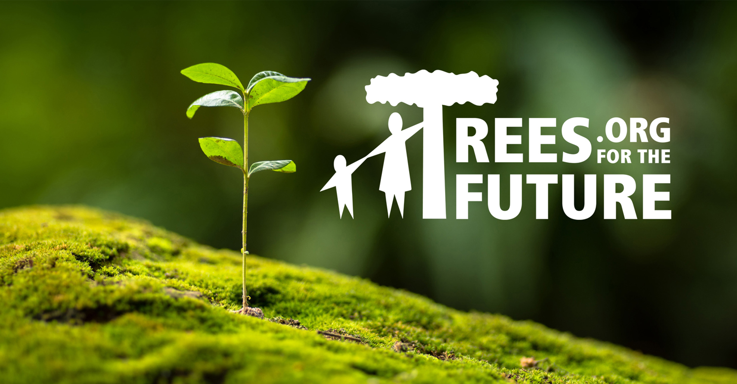 Modo-nachhaltige-Brillen