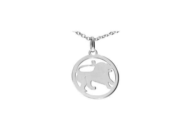 Sternzeichen Löwe ♌ Anhänger rund • 925 Silber