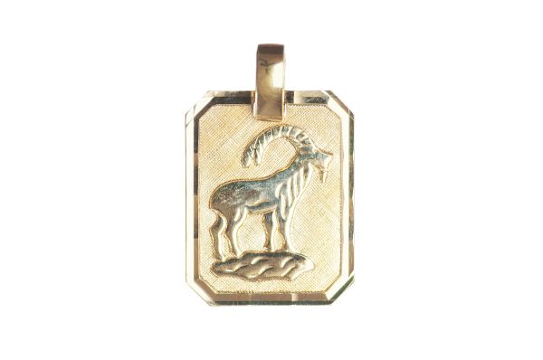 Sternzeichen Steinbock ♑ Anhänger rechteckig • 333 Gold