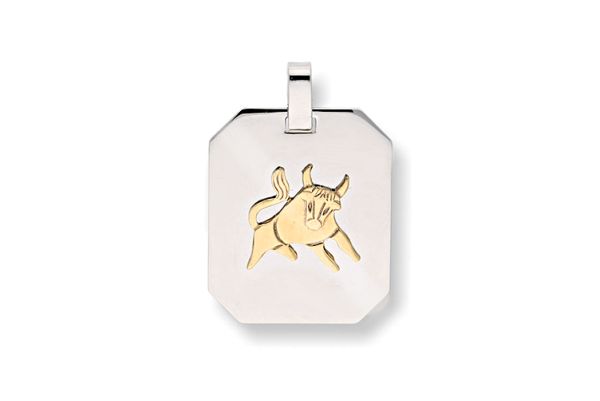 Sternzeichen Stier ♉ Anhänger rechteckig • 925 Silber
